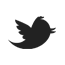 Twitter Eracle Travels